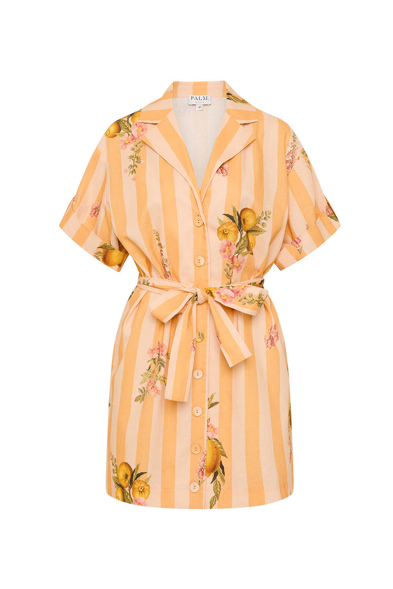 Rey Dress Citrus Stripe