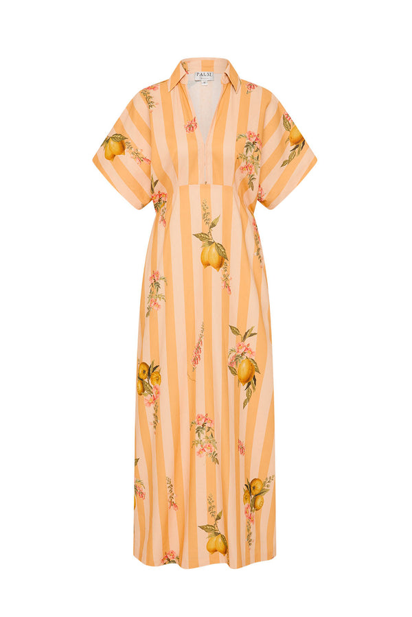 Jasmine Dress Citrus Stripe