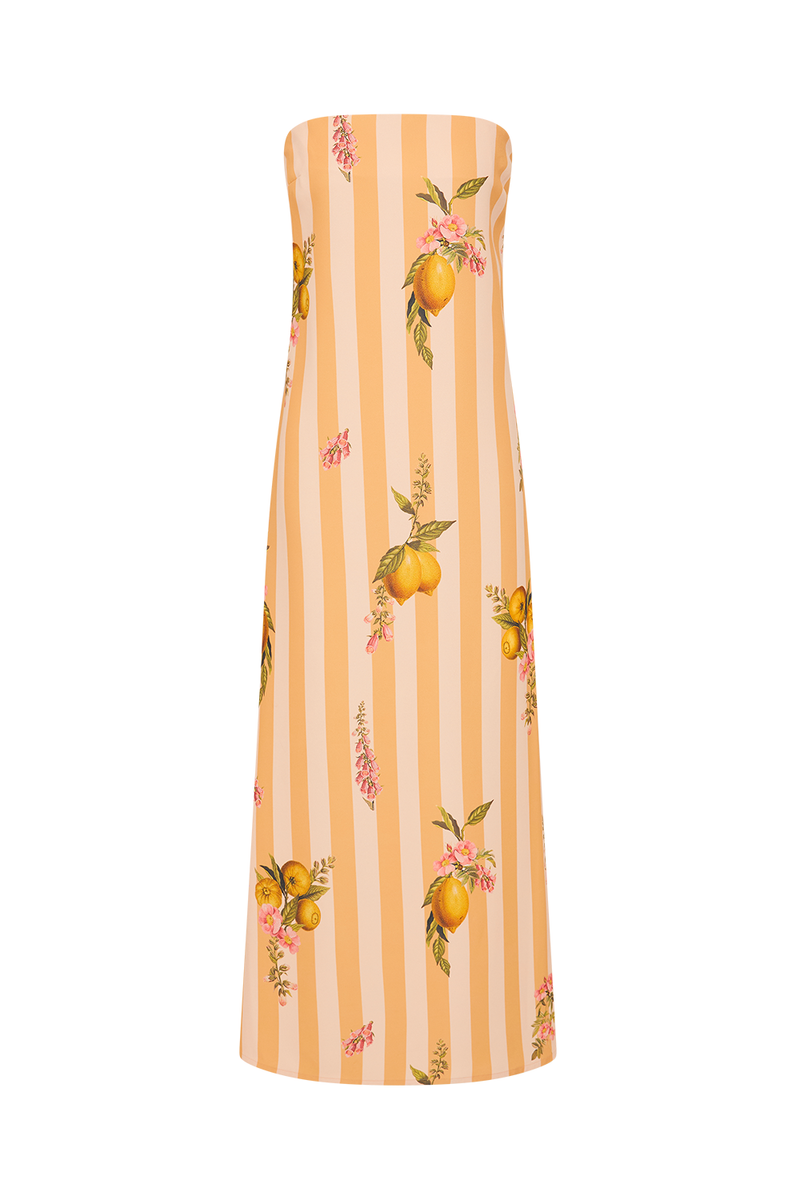 Alessia Dress Citrus Stripe
