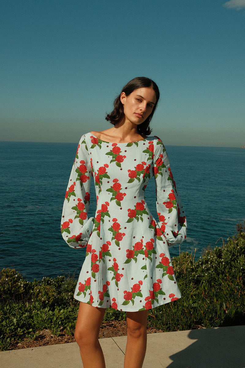Kendall Mini Dress Sky Garden