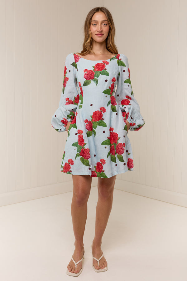 Kendall Mini Dress Sky Garden