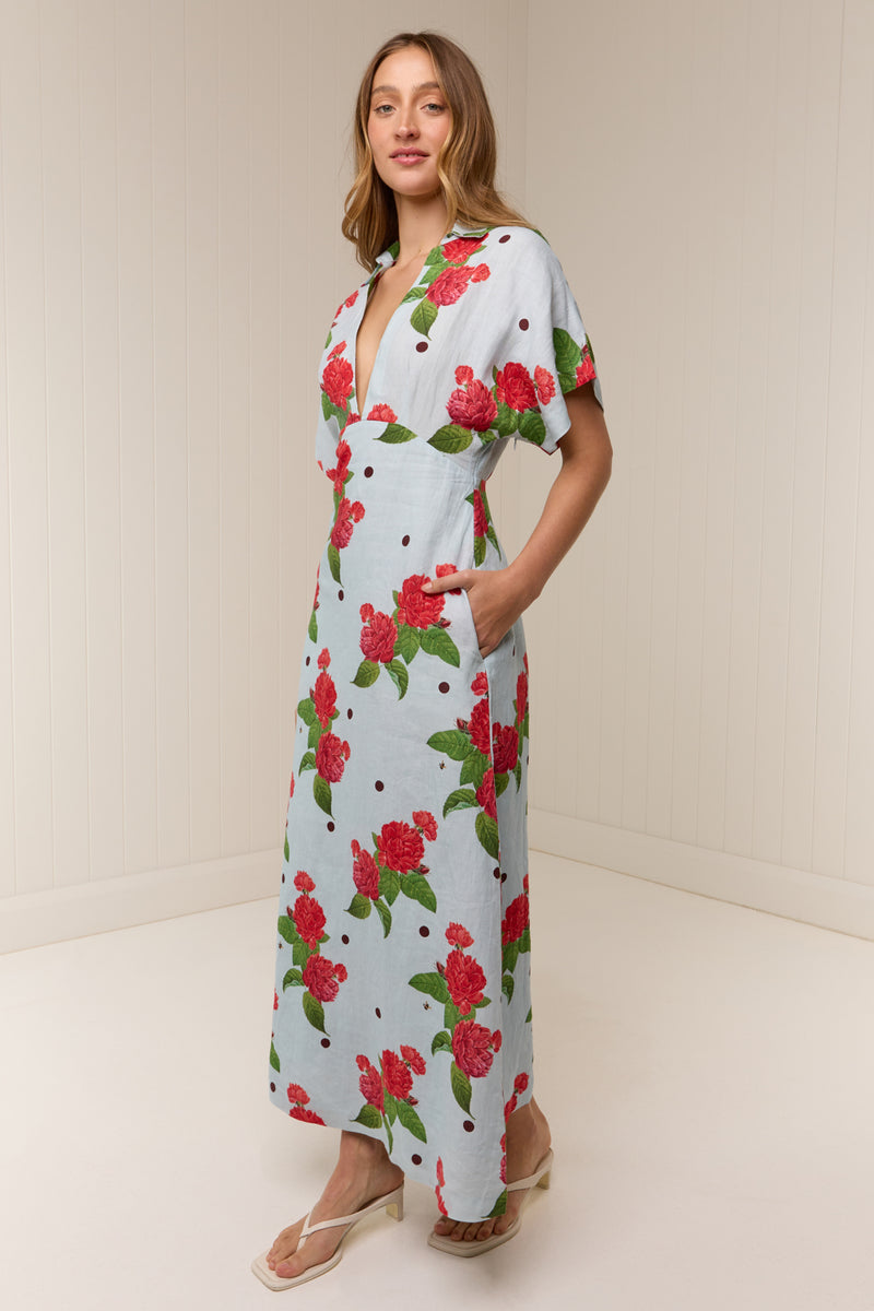 Jasmine Dress Sky Garden