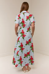 Jasmine Dress Sky Garden