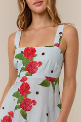 Belle Dress Sky Garden