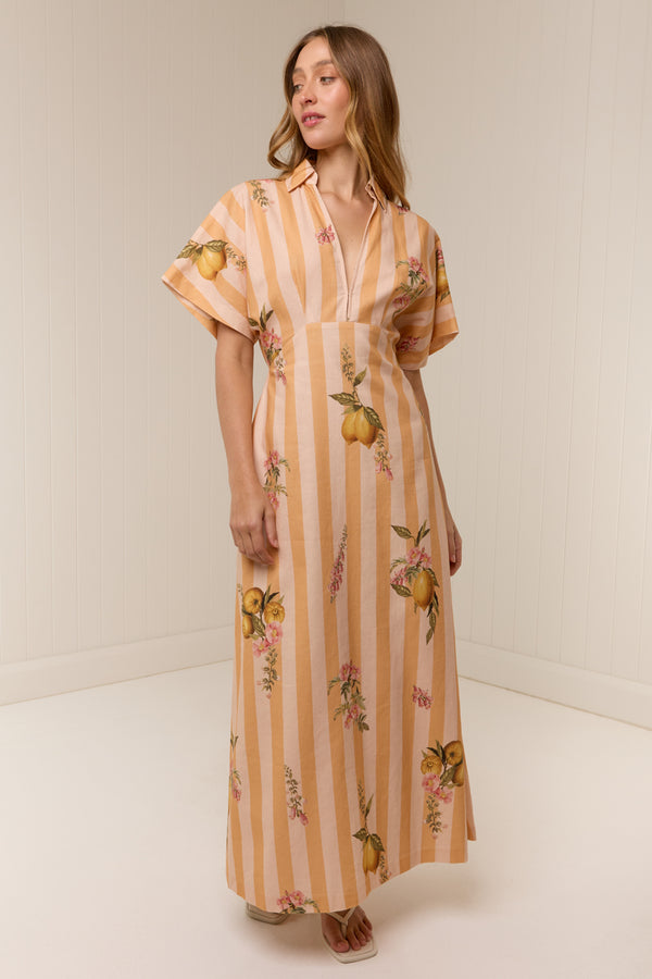 Jasmine Dress Citrus Stripe