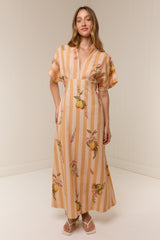 Jasmine Dress Citrus Stripe