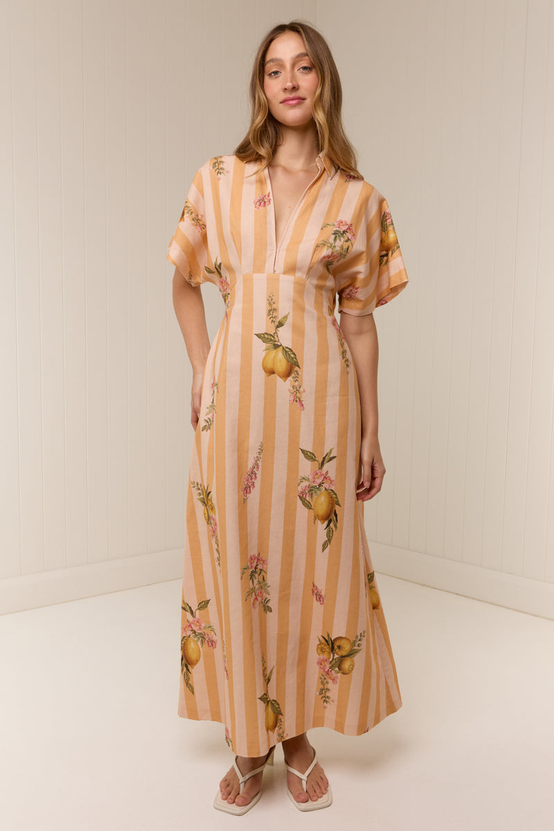 Jasmine Dress Citrus Stripe
