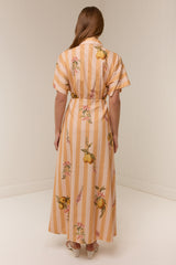 Jasmine Dress Citrus Stripe