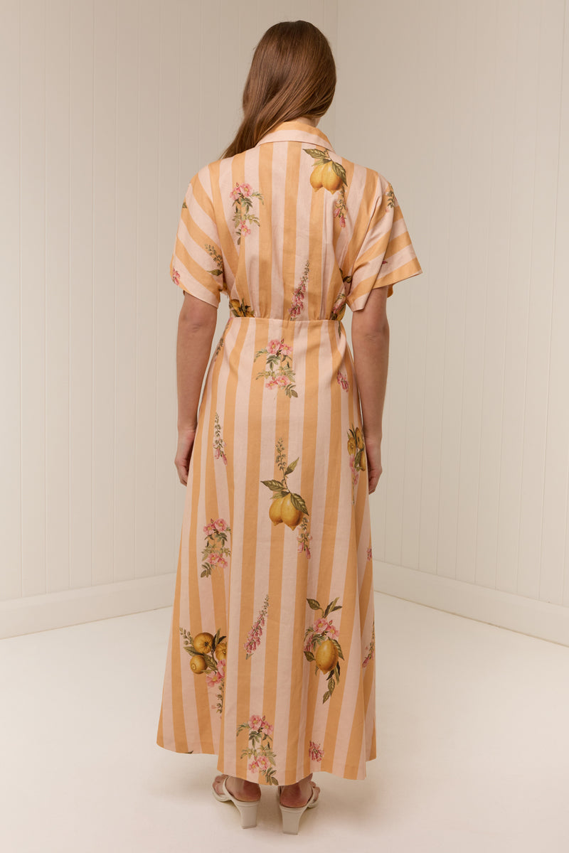 Jasmine Dress Citrus Stripe