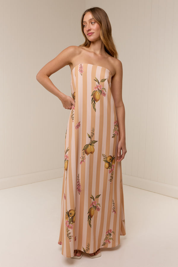 Alessia Dress Citrus Stripe
