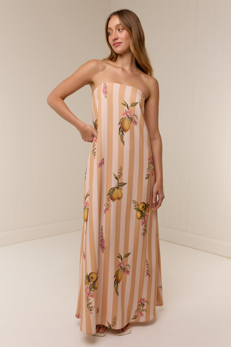 Alessia Dress Citrus Stripe