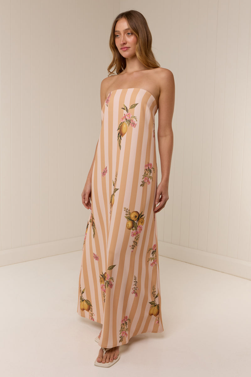 Alessia Dress Citrus Stripe
