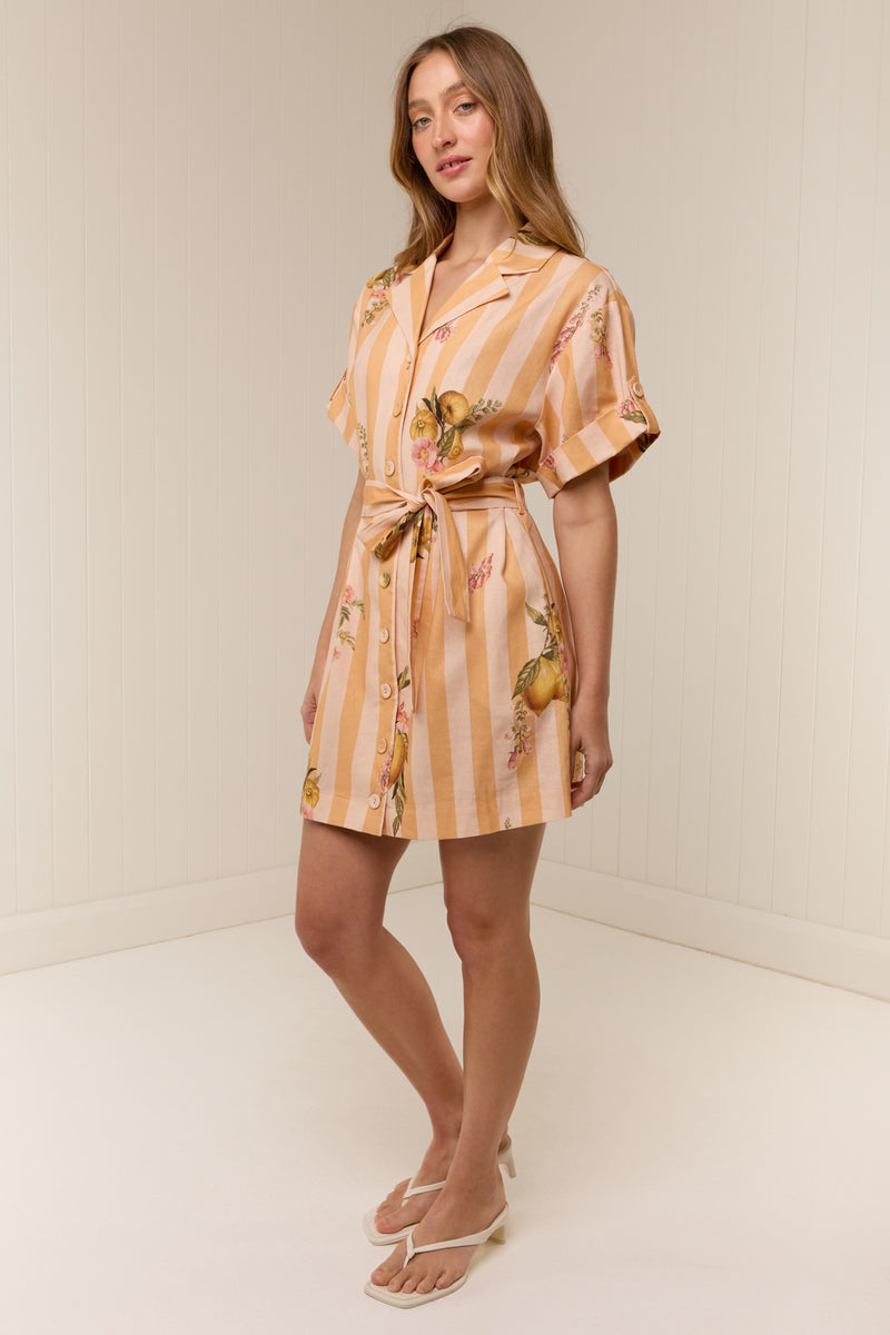 Rey Dress Citrus Stripe