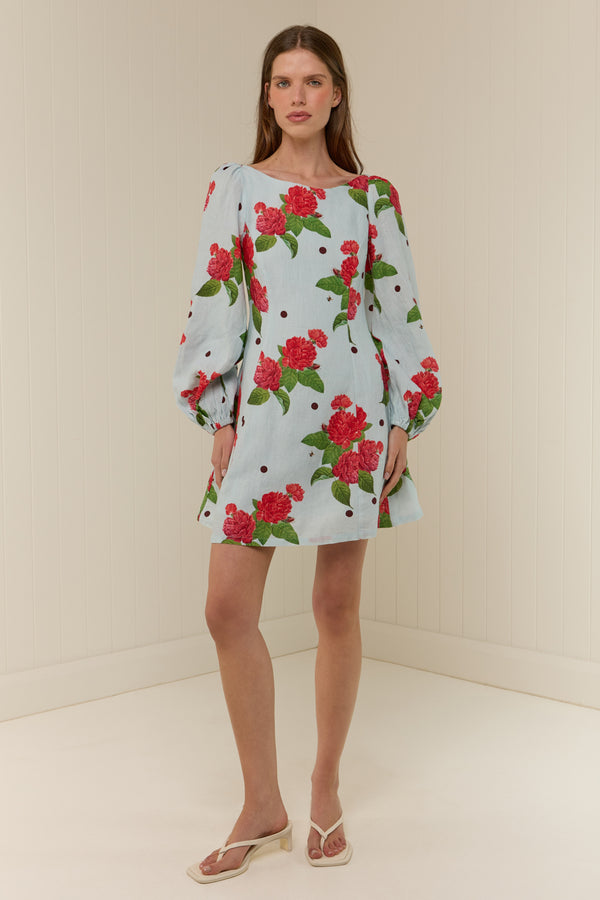 Kendall Mini Dress Sky Garden