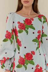 Kendall Mini Dress Sky Garden