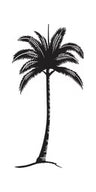 logo of Palm. Noosa