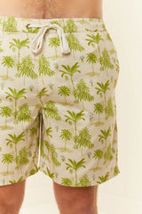 Holiday Shorts